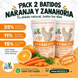 Pack Batido Naranjo (Vitamínico) de nopal con naranja y zanahoria- BeCactus 125 g